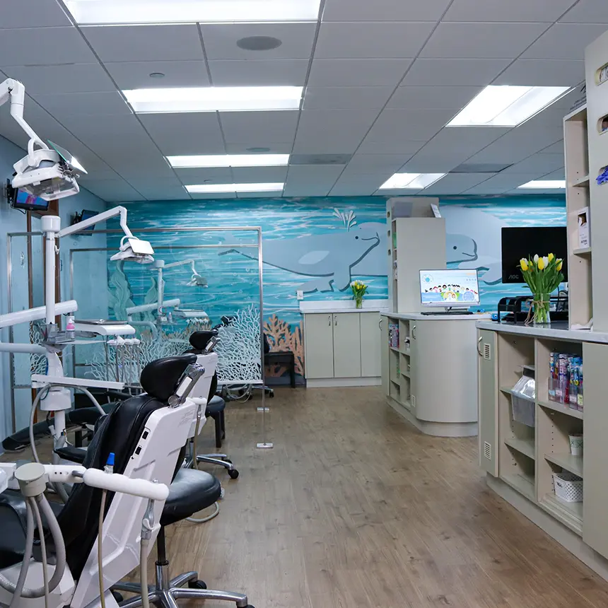 Dr. Camps Pediatric Dental Office Interior