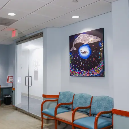 Dr. Camps Pediatric Dental Office Interior
