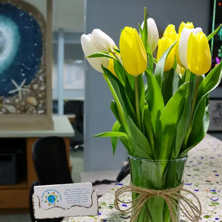 Dr. Camps Pediatric Dental Office Interior