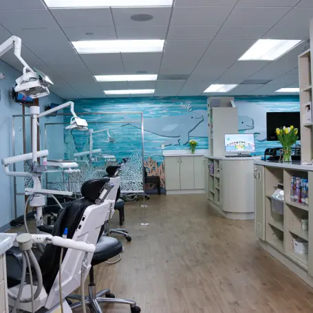 Dr. Camps Pediatric Dental Office Interior