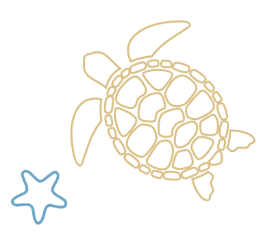 blue-starfish-yellow-turtle-mobile