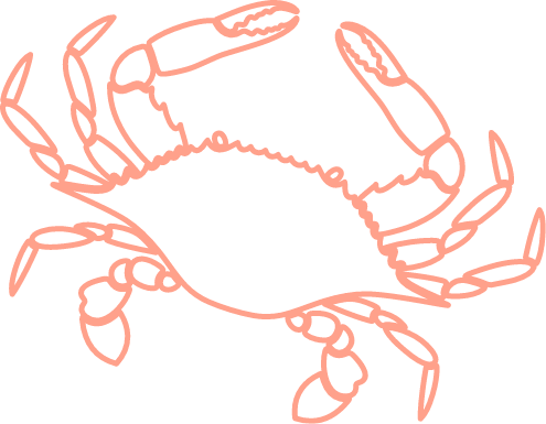 orange-crab-reverse
