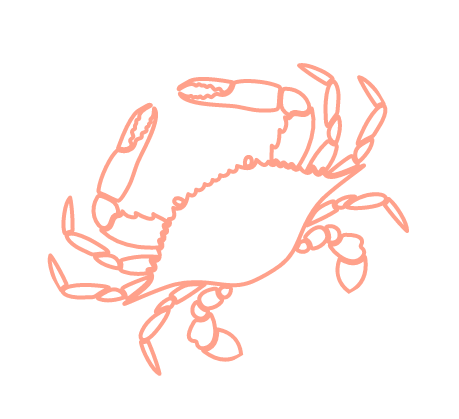 orange-crab