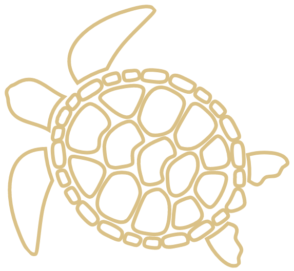 yellow-turtle