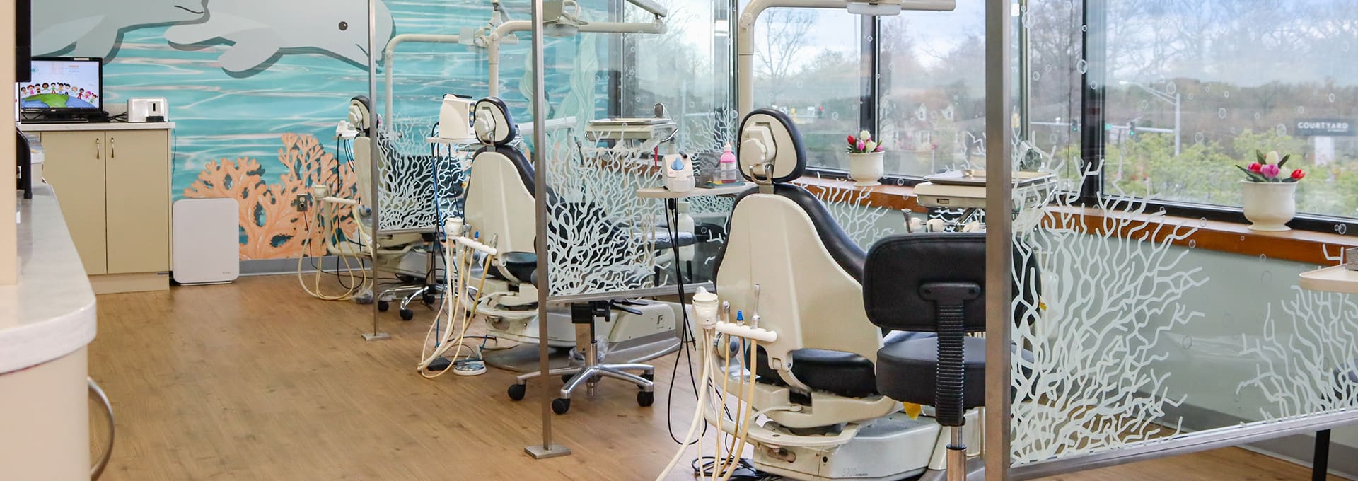 Camps pediatric dental office