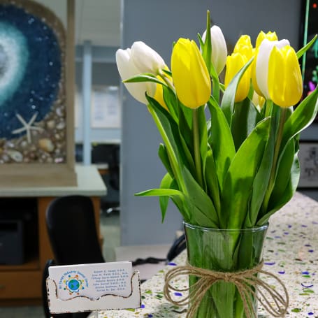 Dr. Camps Pediatric Dental Office Interior