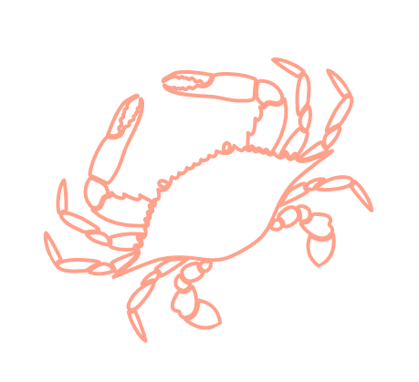 orange-crab