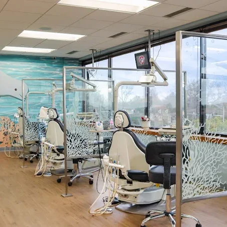 Dr. Camps Interior Office